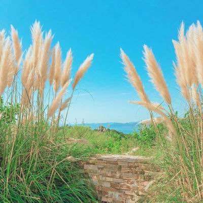 米乐app下载并安装