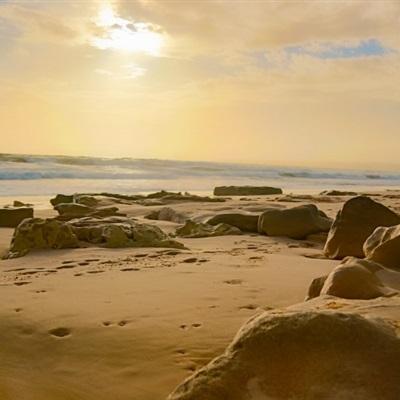 365体育亚洲官方入口app下载